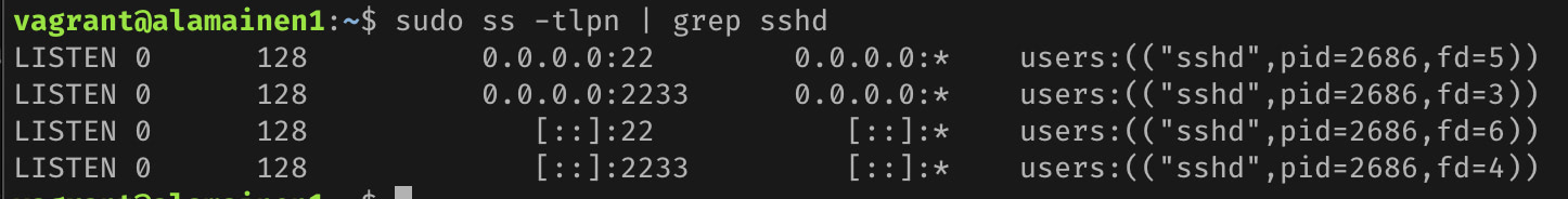 SSH config